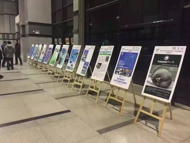 评审现场海报展.jpg