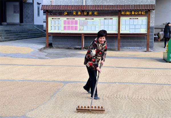 昔日上访村如何大变样2.jpg