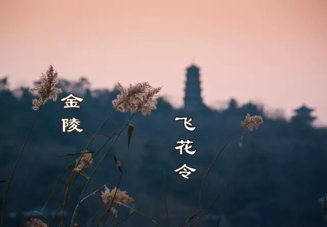 飞花令.jpg