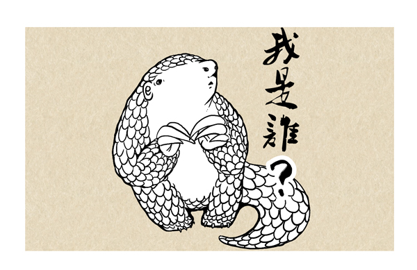 穿山甲1.jpg