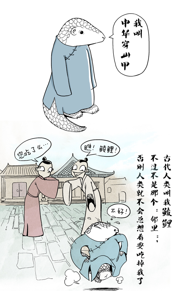 穿山甲2.jpg