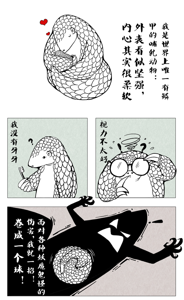 穿山甲4.jpg
