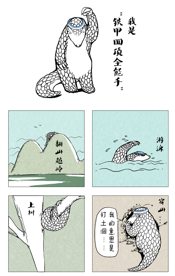 穿山甲6.jpg