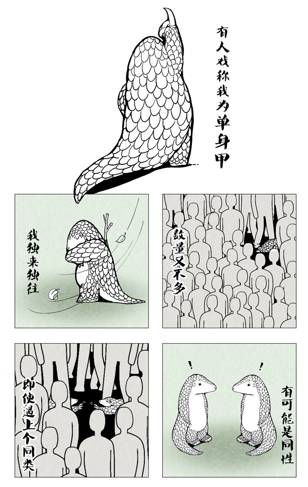 穿山甲8.jpg