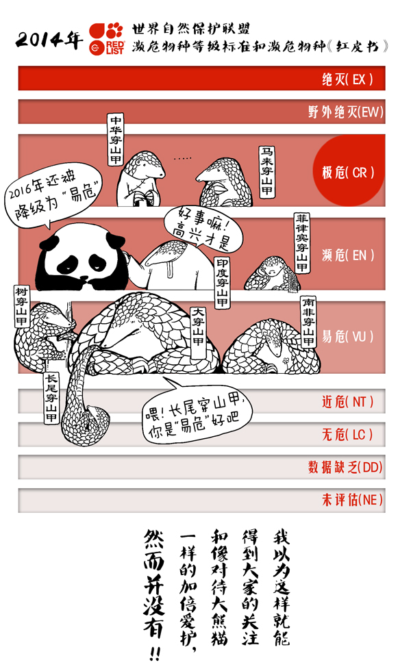 穿山甲11.jpg