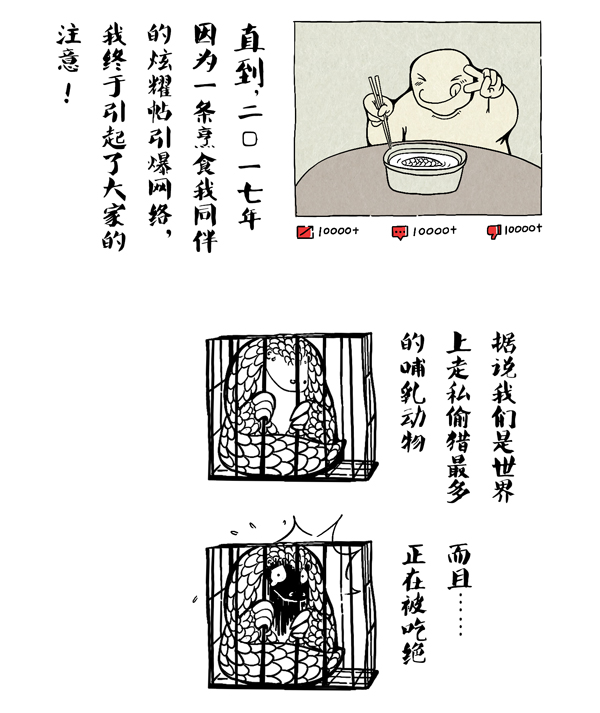 穿山甲12.jpg