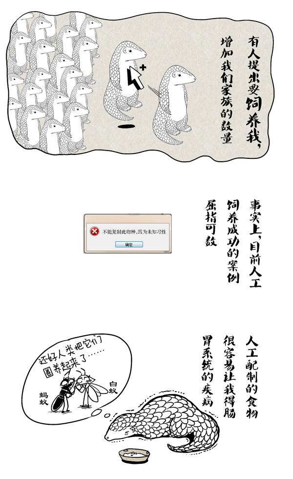 穿山甲13.jpg