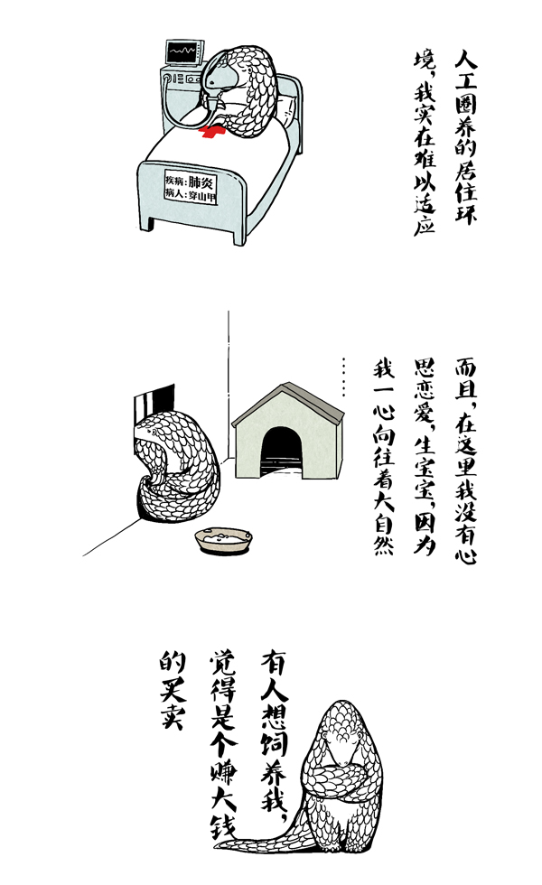 穿山甲14.jpg