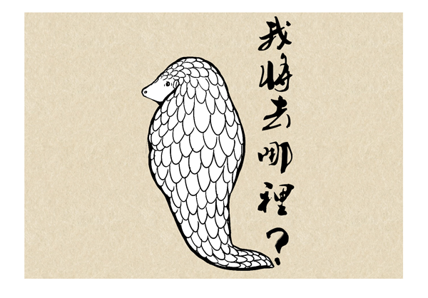 穿山甲15.jpg
