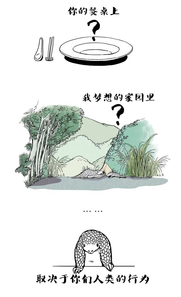 穿山甲16.jpg