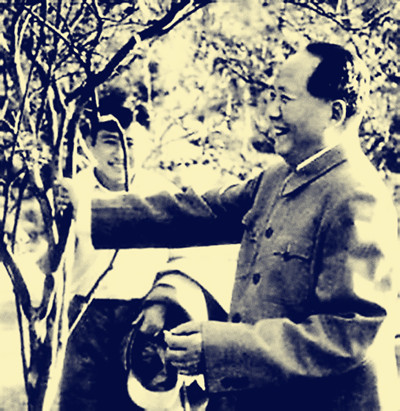 timg555_副本.jpg