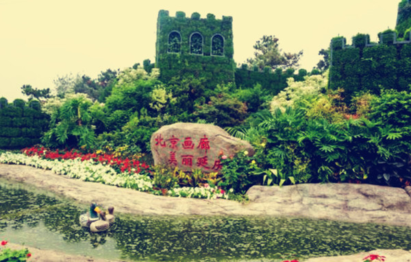 timg (2)_副本.jpg