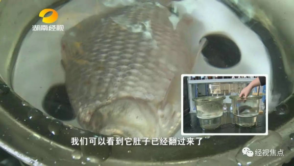 食品安全07.jpg