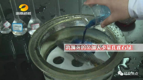 食品安全08.jpg