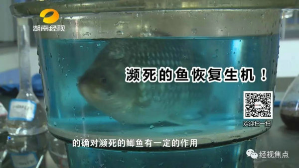 食品安全10.jpg