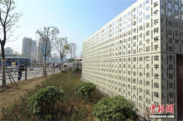 编辑2.jpg