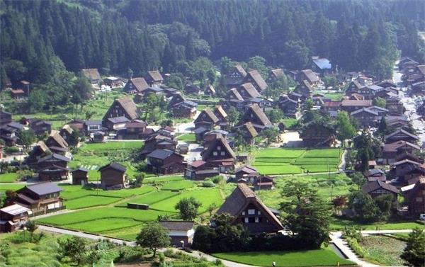农村1_看图王.jpg