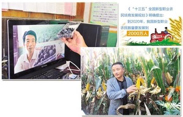 农民.jpg