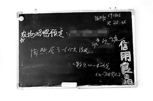 聚龙2.jpg