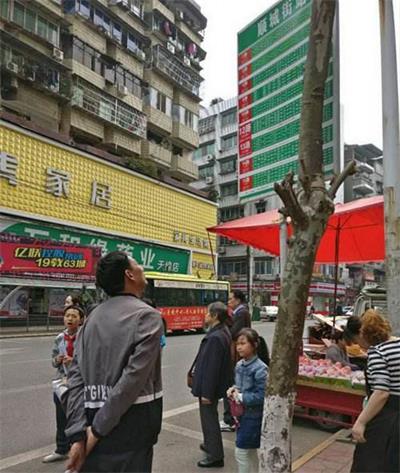长颈鹿站牌_看图王.jpg