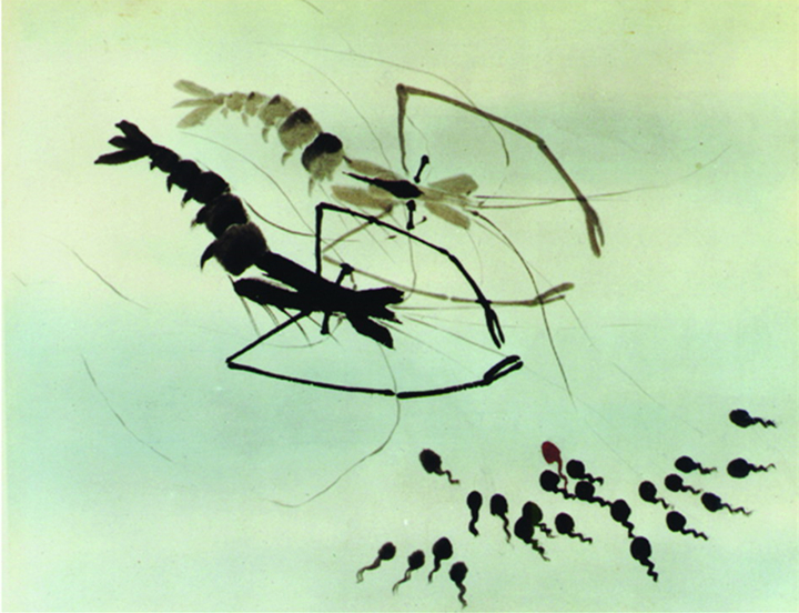 00049933_副本.jpg