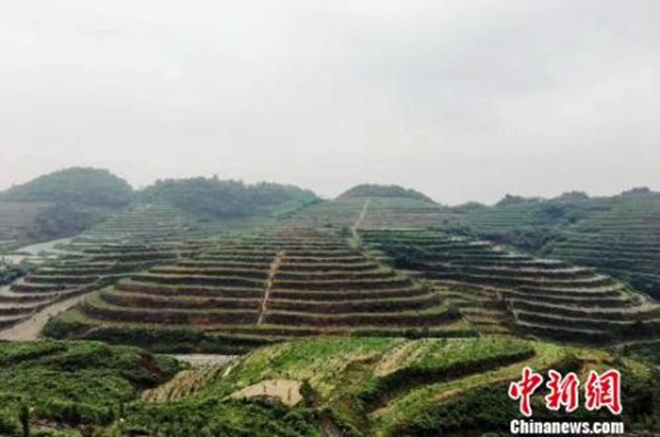 W020170725263092102311_副本.jpg