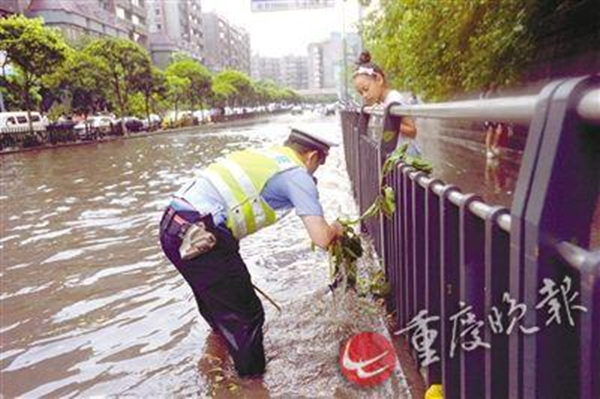 W020170801279786415745_副本.jpg
