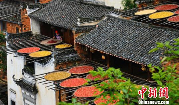 jaingxi2_副本.jpg