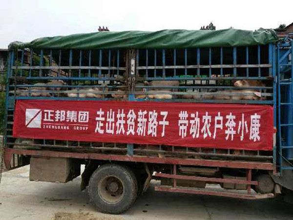 zhengbang2_副本.jpg