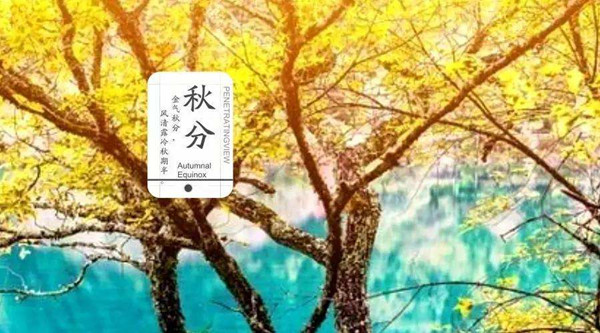 qiufen_副本.jpg