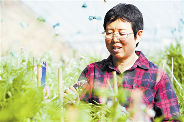 闻凤英.jpg