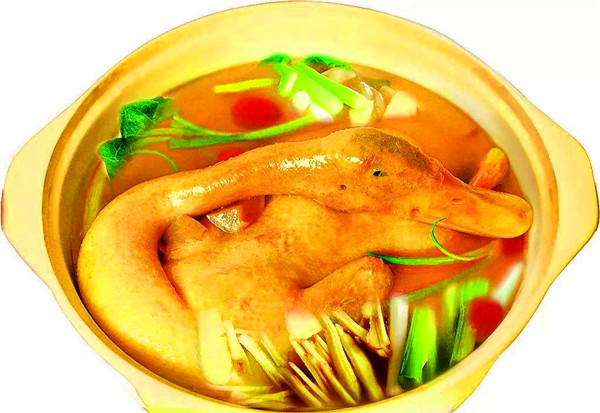 鸭子_副本.jpg
