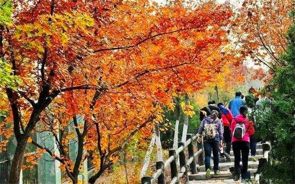 秋高登山_副本.jpg