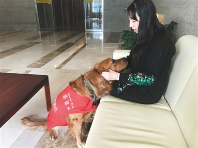 导盲犬03.jpg
