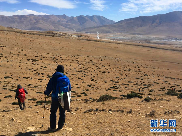 高山环保志愿服务.jpg