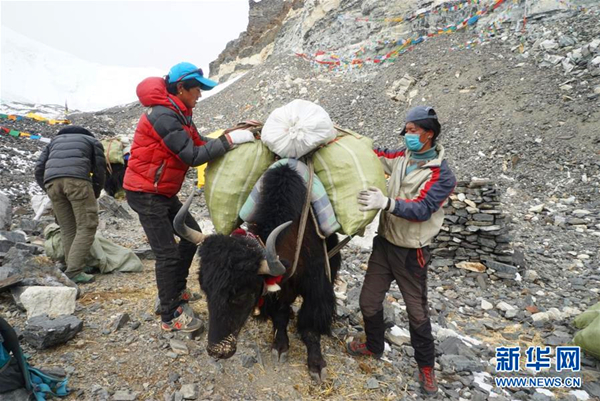 高山环保志愿服务3.jpg