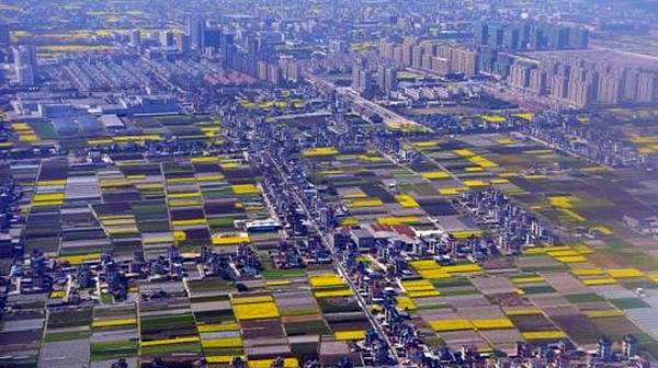 农地确权.jpg