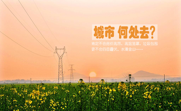 问善丨城市从何处来，到何处去？.jpg