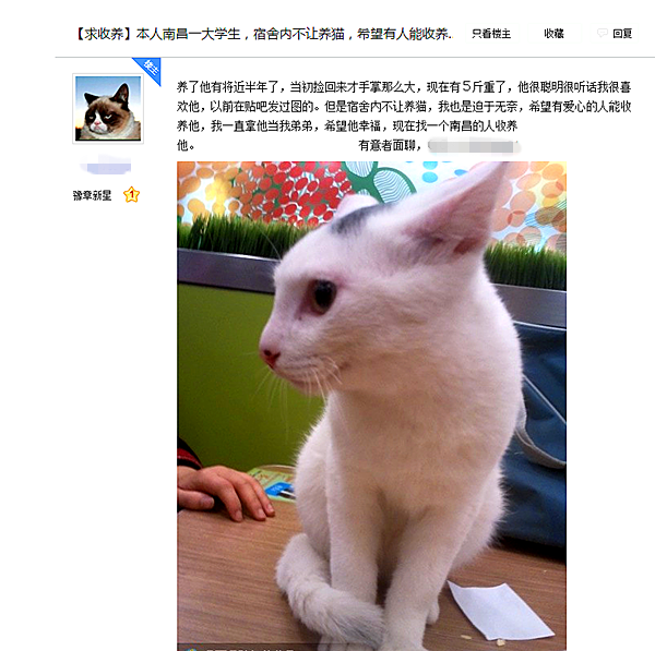 QQ截图20171227114904.png