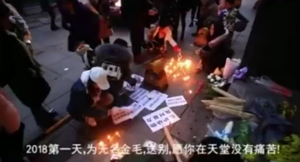 金毛事件04.jpg