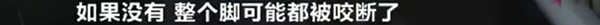 金毛事件02.jpg