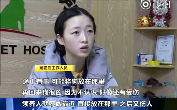 宠物店工作.jpg