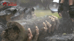 777.gif