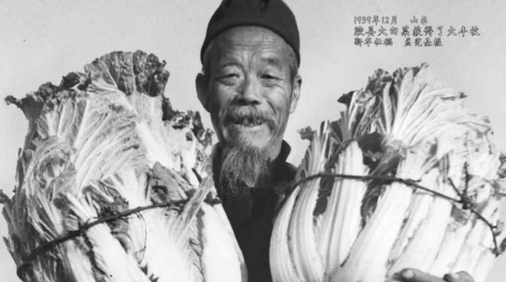 t01acfff7492cc14e6a.jpg
