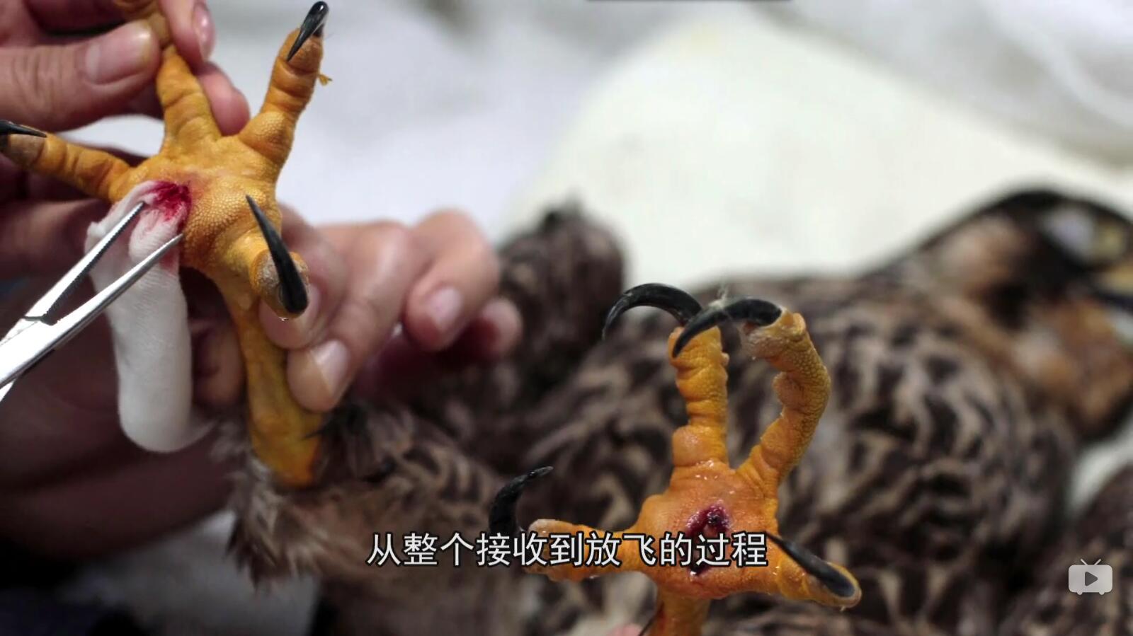 QQ截图20180111101415.jpg