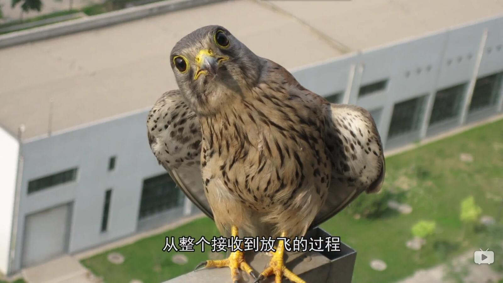 QQ截图20180111101424.jpg