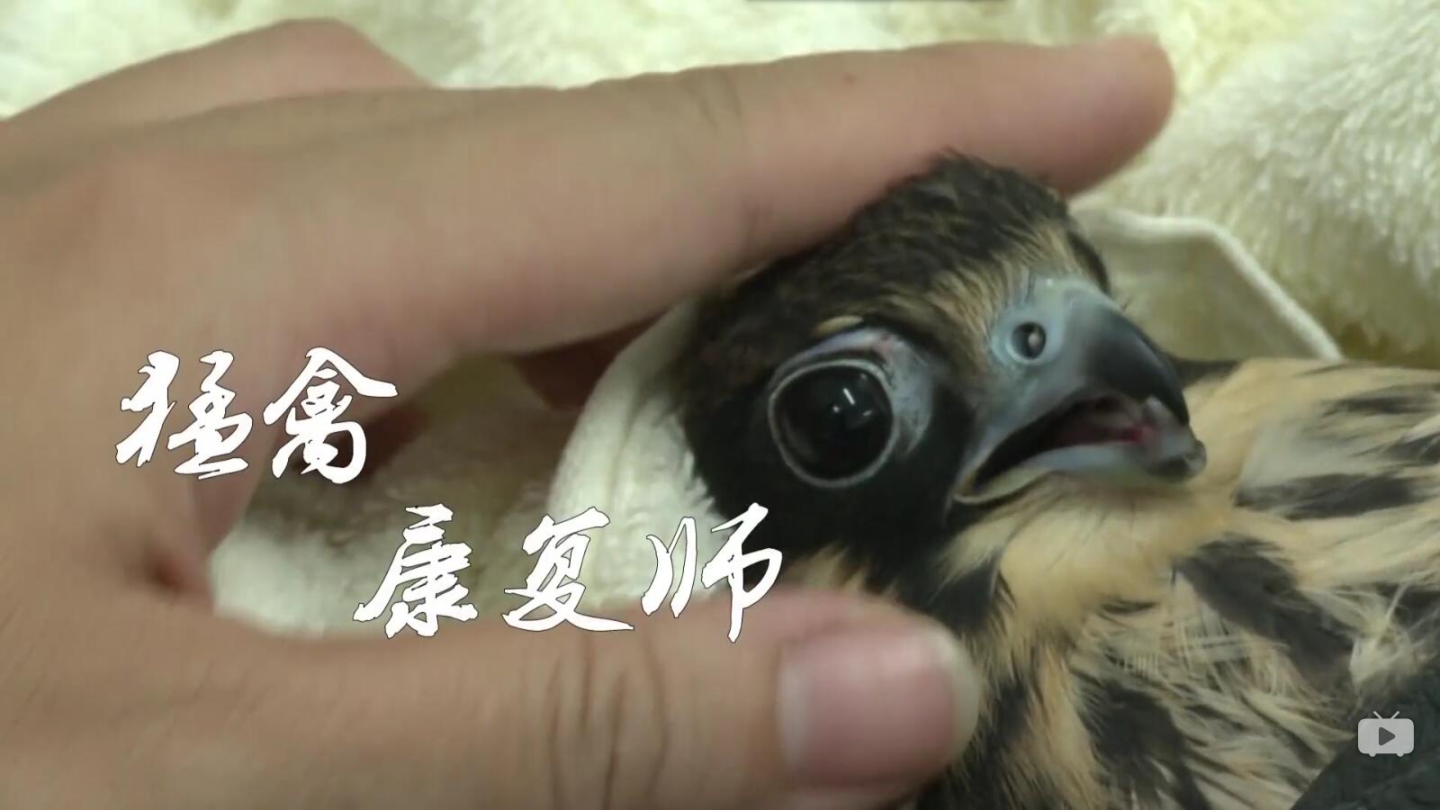 QQ截图20180111100729.jpg