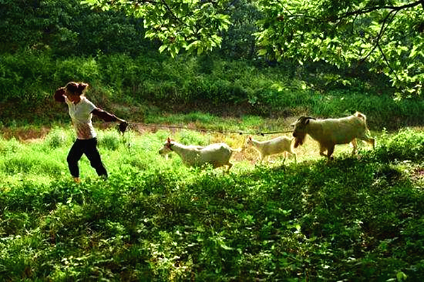 张志菊05.jpg
