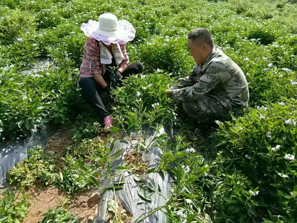 志愿者安文忠02.jpg