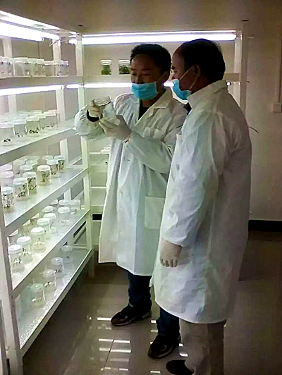 志愿者安文忠03.jpg